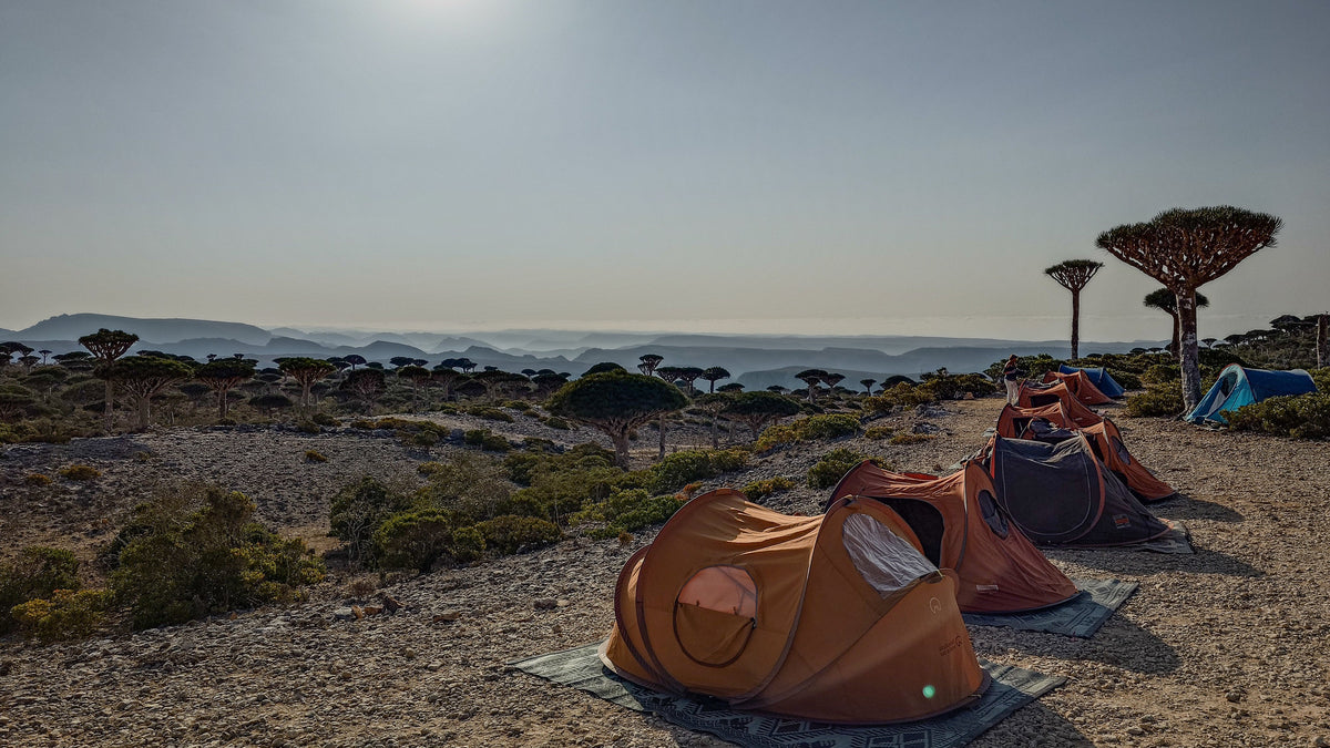 Socotra: The Unknown
