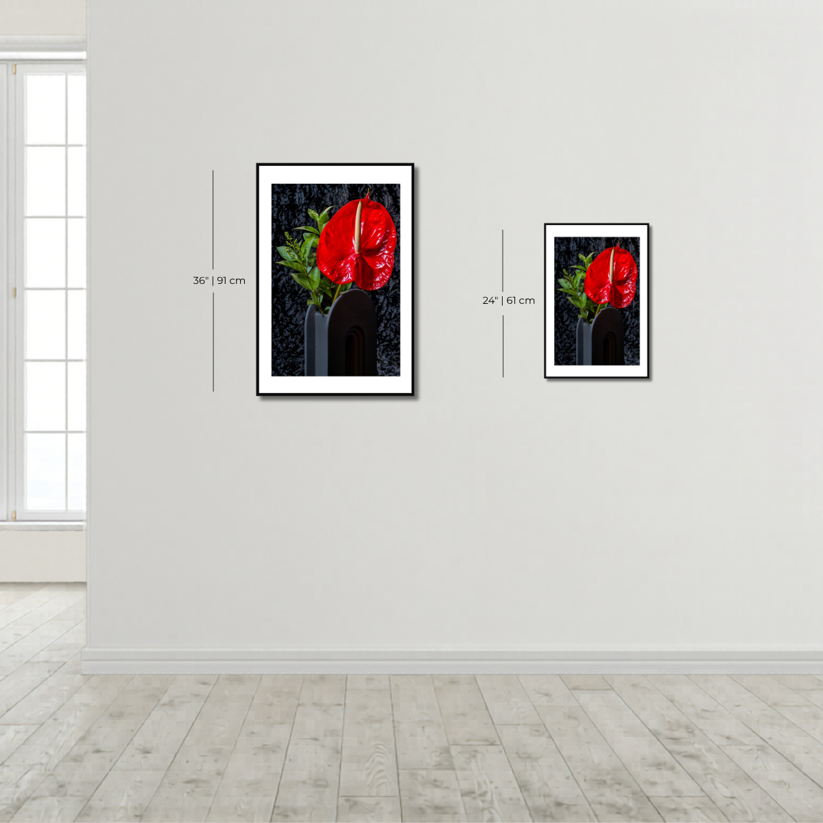 Anthurium ~ FlamingoFlower ~ Fine Art Photography Print by Ivo Titzin ~Limited Edition Gito Art Home and Decor