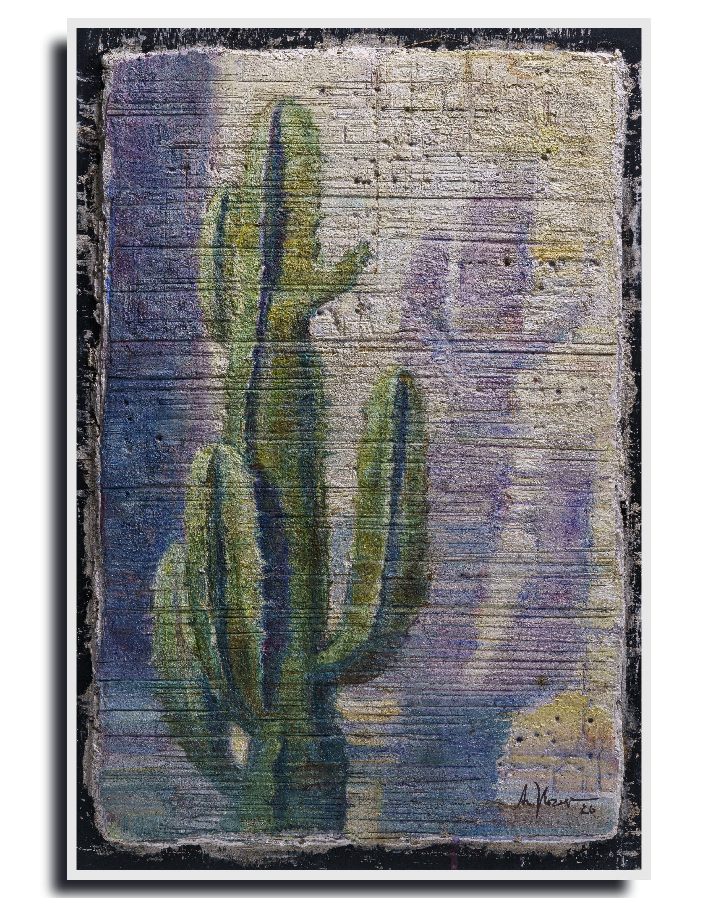 Cactus – Fine Art Wall Print | Buon Fresco Photography | Limited