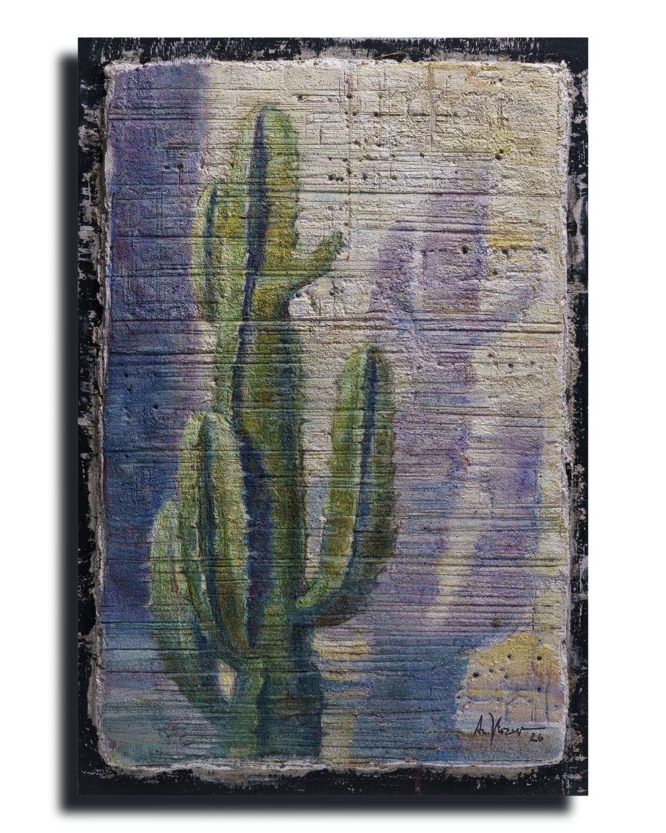 Cactus – Fine Art Wall Print | Buon Fresco Photography | Limited 100/100