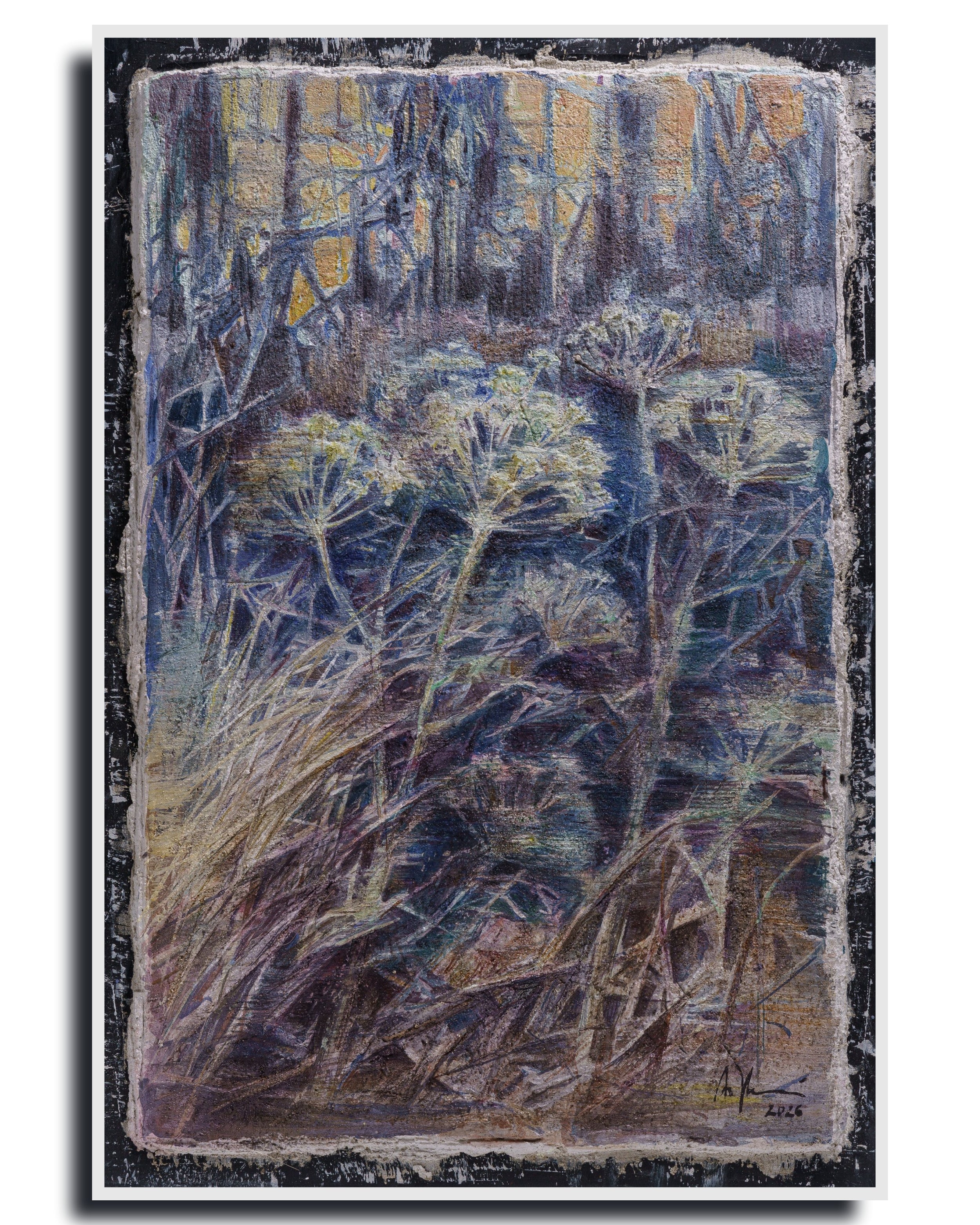 Wild Fennel – Fine Art Wall Print | Buon Fresco Photography | Limited