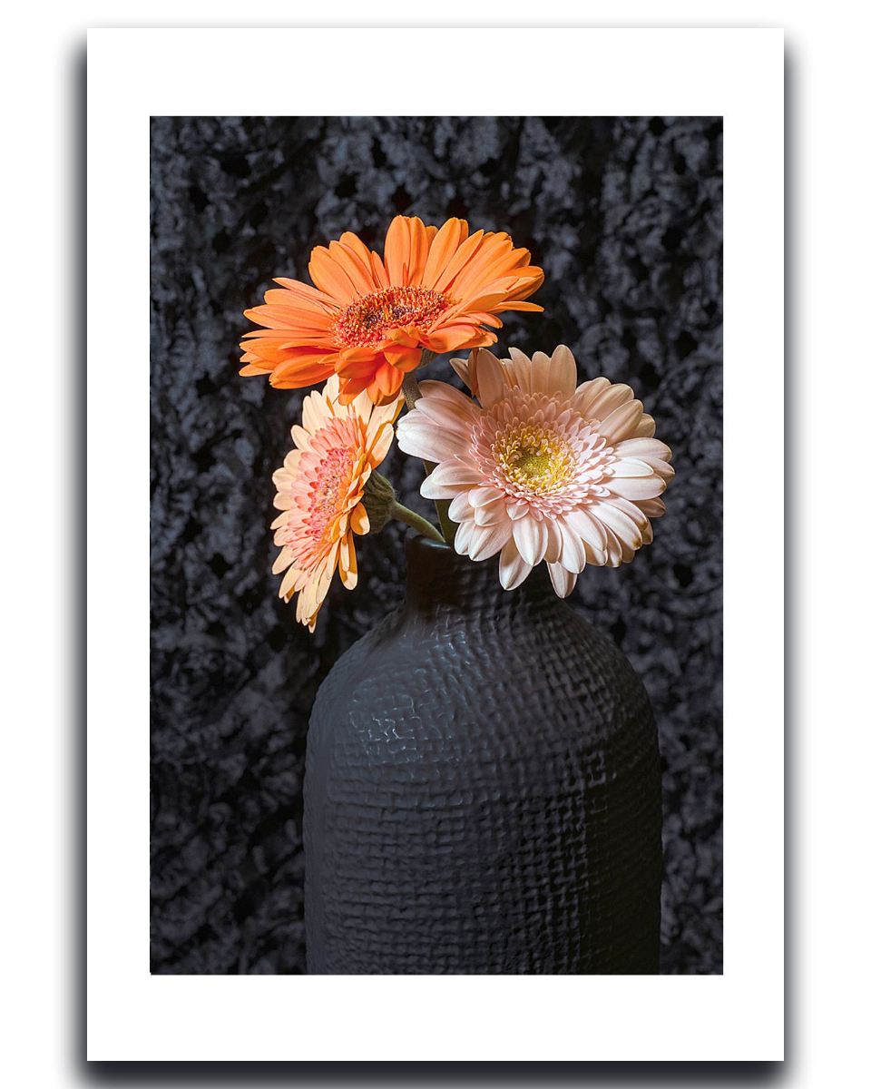 Photograph of a textured vase with three gerbera flowers against a dark background ~ Gerbera Daisies Fine Art Photography by Ivo Titzin ~ Gito Luxury Wall Art