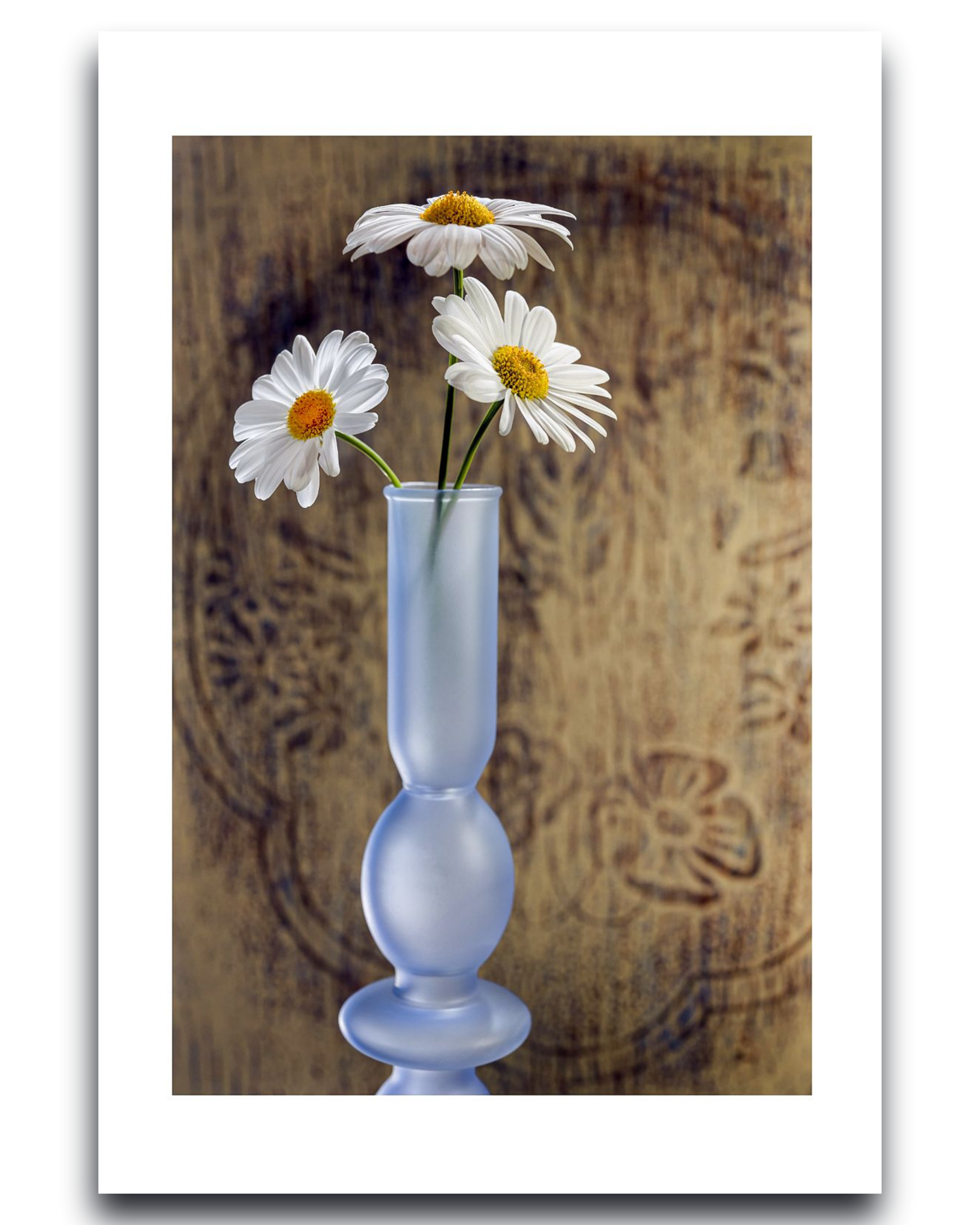 Daisy – Fine Art Photography by Ivo Tizin | Wall Art | Gito Art and Decor Limited Edition