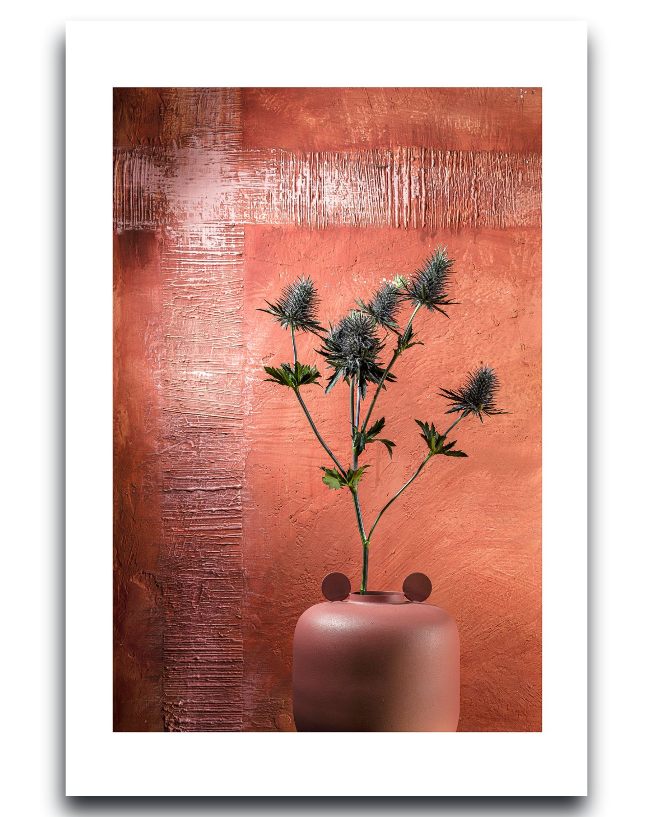 Blue Sea Thistle – Fine Art Photography - Earth Tones - Wall Art - Limited Edition