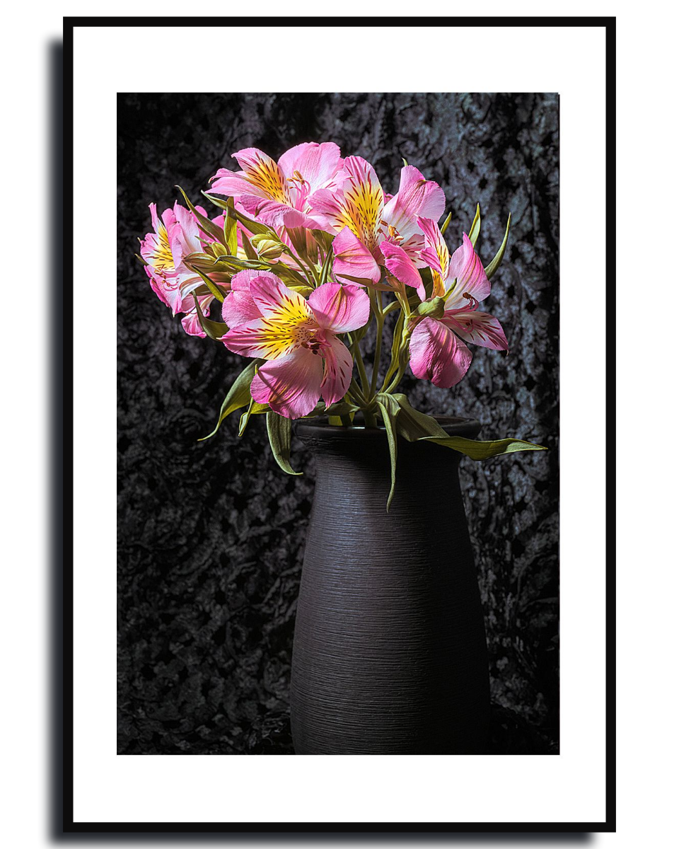 Peruvian Lily ~ Fine Art Photography by Ivo Titzin ~ Collectable Wall Art by Gito ~ Limited Eedition