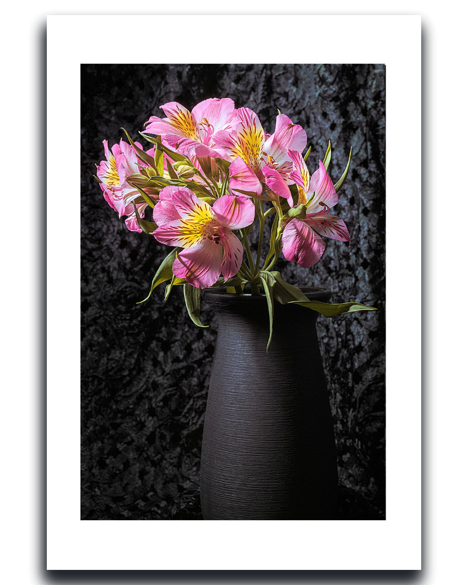 Peruvian Lily ~ Fine Art Photography by Ivo Titzin ~ Collectable Wall Art by Gito ~ Limited Eedition
