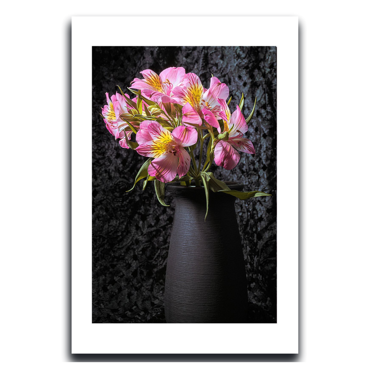 Peruvian Lily ~ Fine Art Photography by Ivo Titzin ~ Collectable Wall Art by Gito ~ Limited Eedition