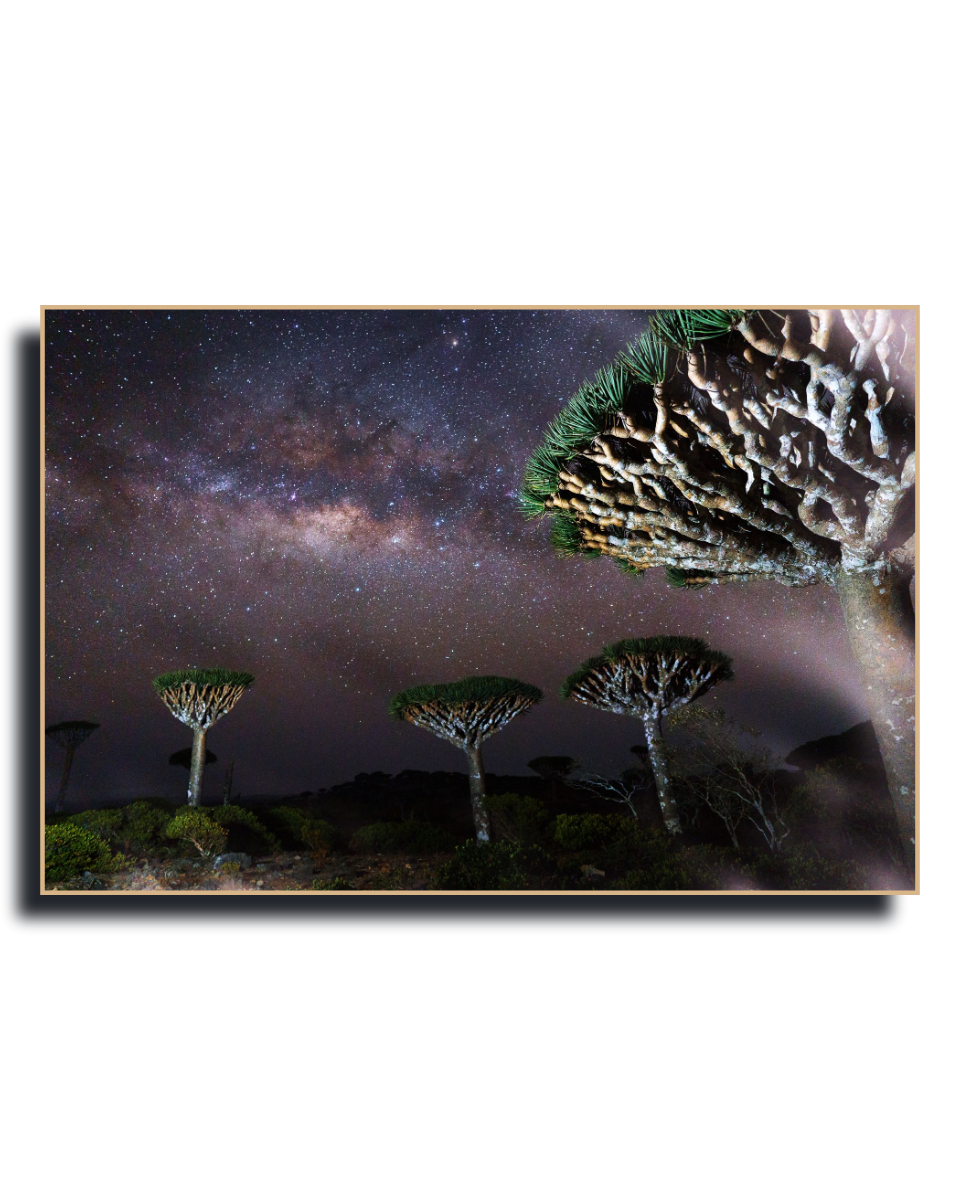 Gito.Art - Exclusive Art Print - Photography by Delyan Markov
A framed photographic print of a starry night sky over a landscape with distinctive tree silhouettes, shown against a plain white background.
