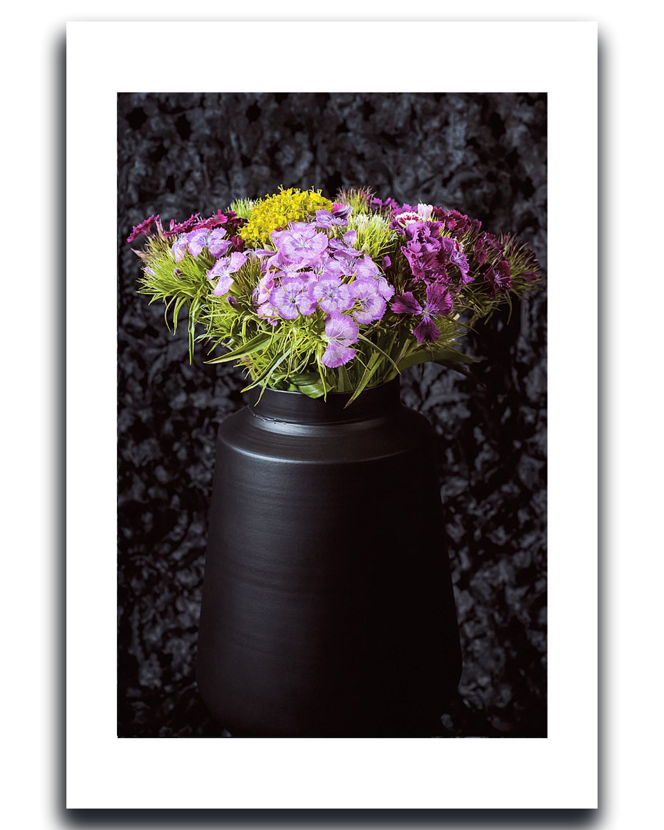 Sweet William Fine Art Photography by Ivo Titzin ~ Gito Limited Wall Art