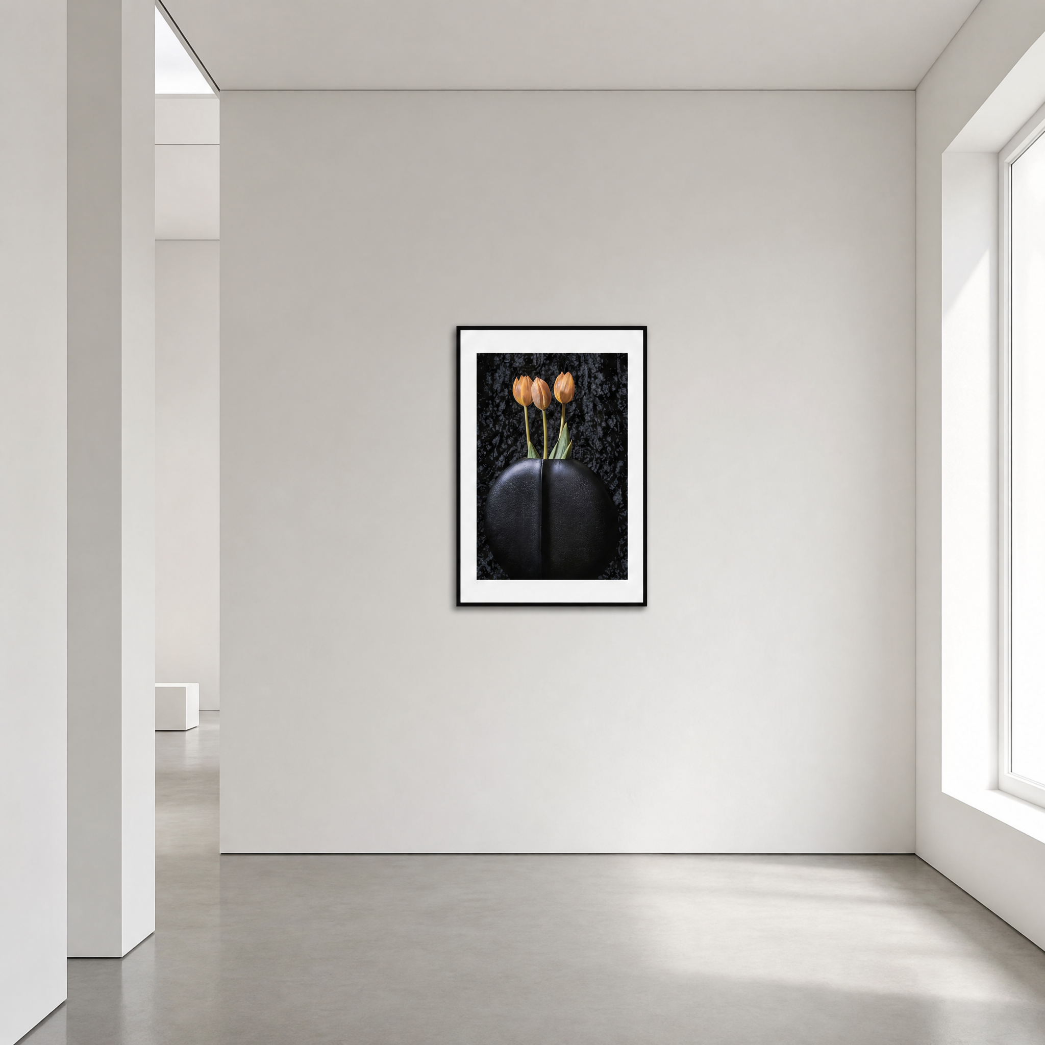 Tulips ~ Fine Art Photography by Ivo Titzin ~ Gito Limited Edition Collectable Wall Art