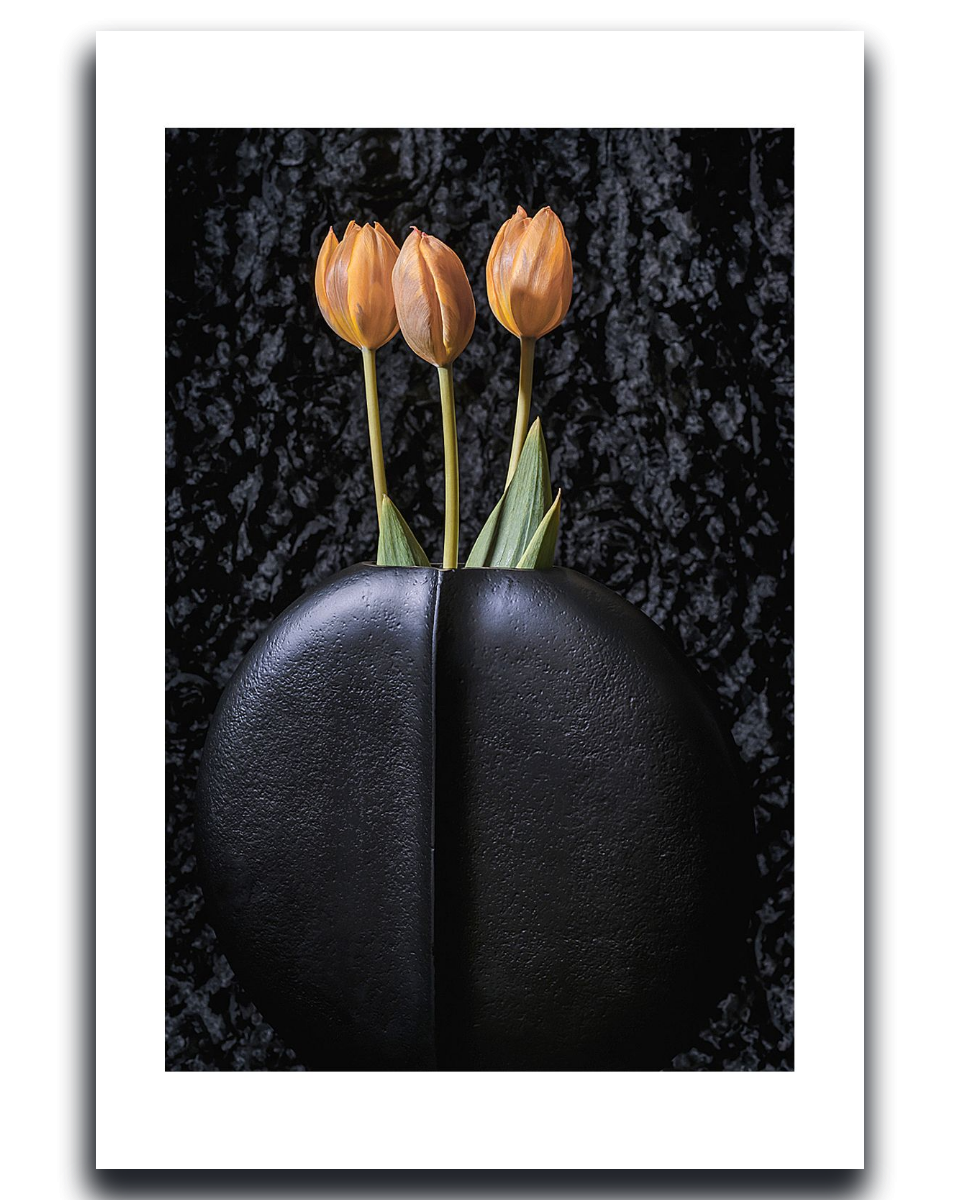 Tulips ~ Fine Art Photography by Ivo Titzin ~ Gito Limited Edition Collectable Wall Art