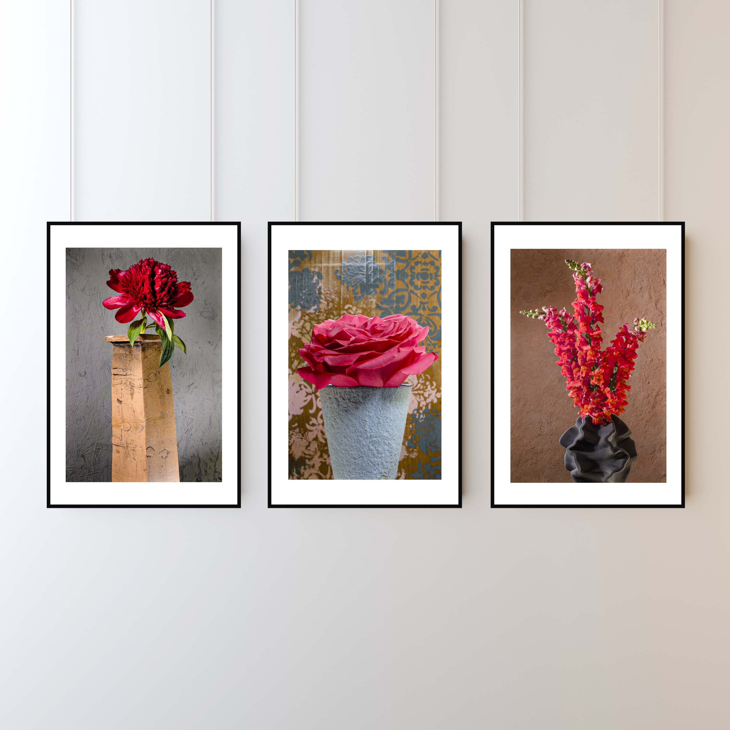 Big Red Rose – Fine Art Photography by Ivo Tizin - Wall Art - Black Frame -Limited Edition