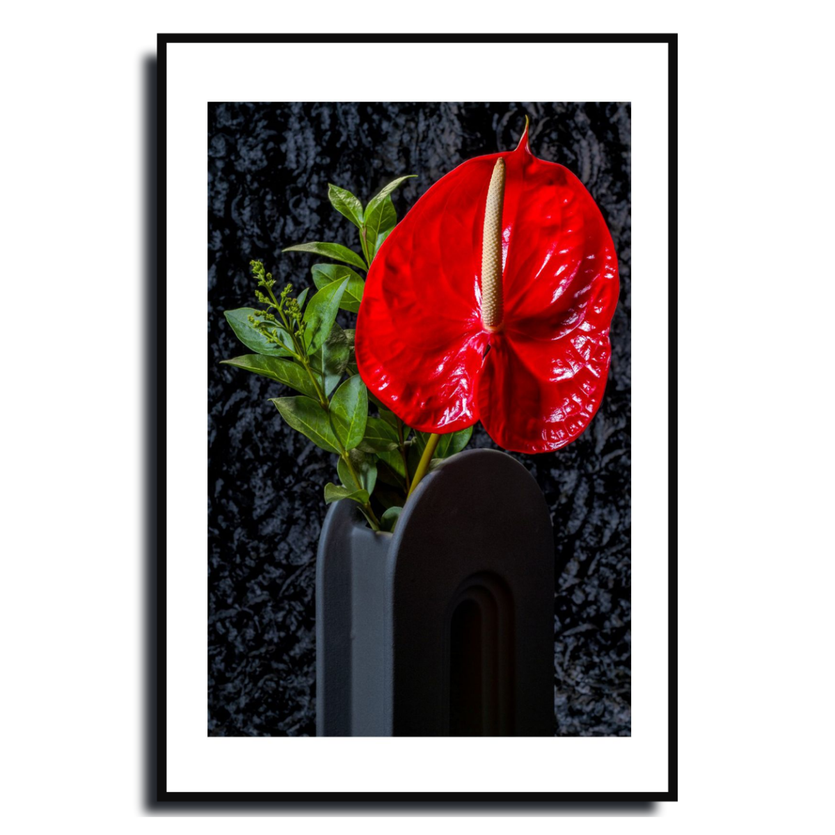 Anthurium ~ FlamingoFlower ~ Fine Art Photography Print by Ivo Titzin ~Limited Edition Gito Art Home and Decor