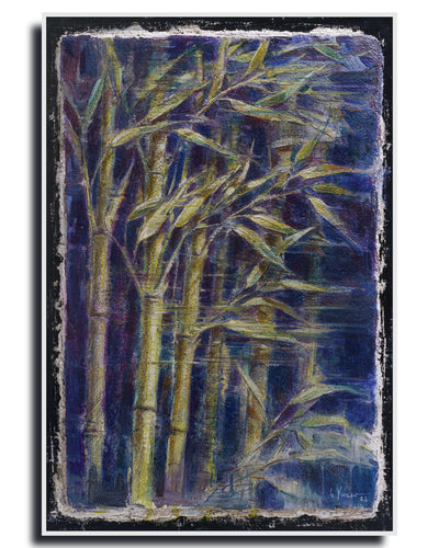 Bamboo – Fine Art Wall Print | Buon Fresco Photography | Limited