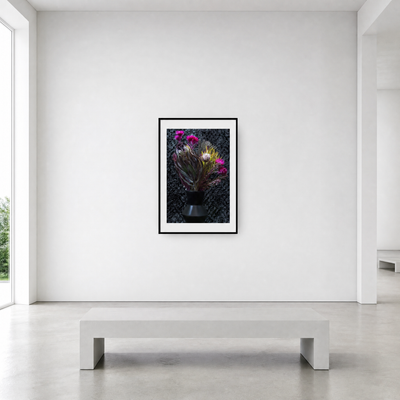 Framed artwork of flowers on a white wall with a bench below ~ Fine Art Photography by Ivo Titzin ~ Luxury Wall Art by Gito Art  