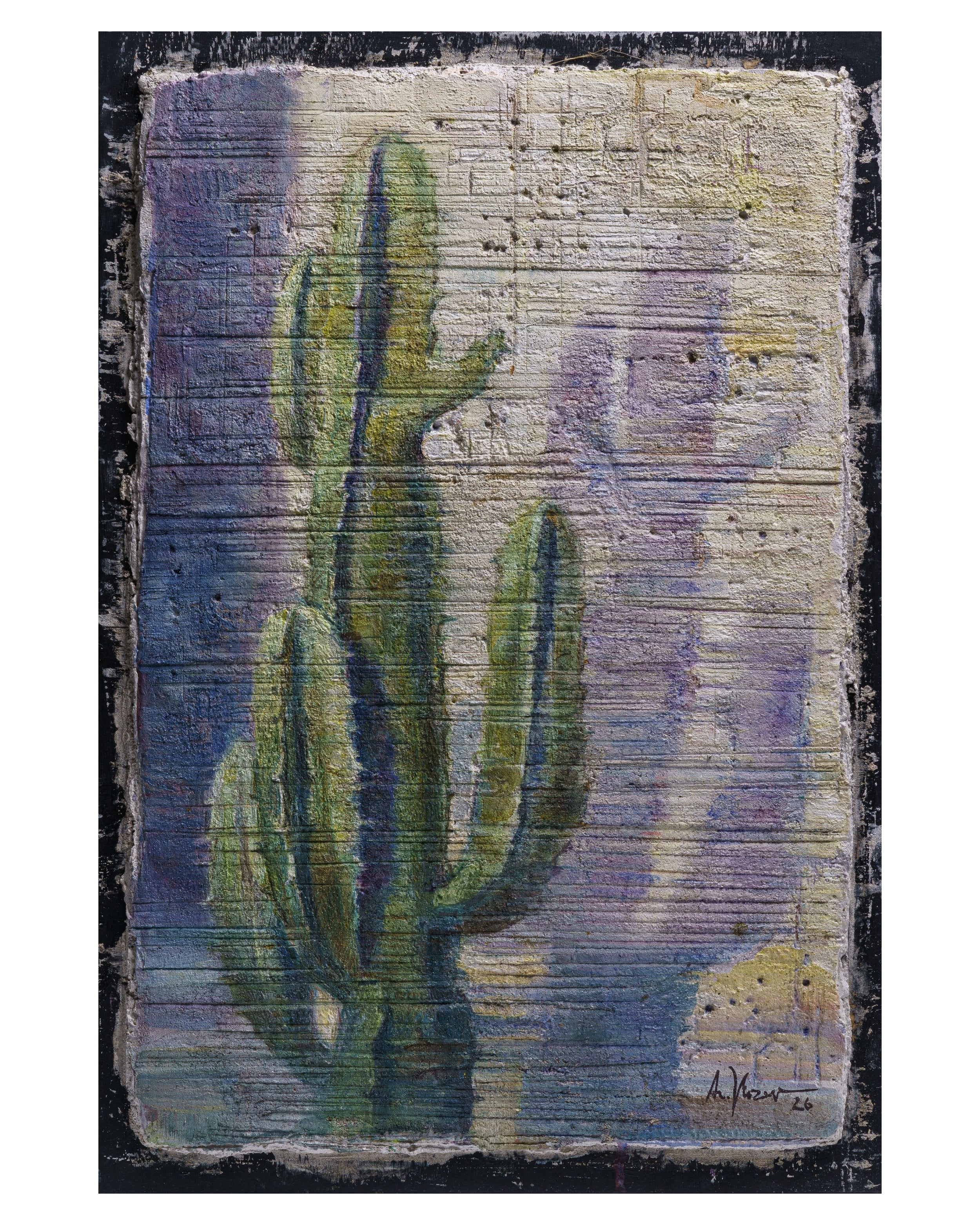 Cactus – Fine Art Wall Print | Buon Fresco Photography | Limited