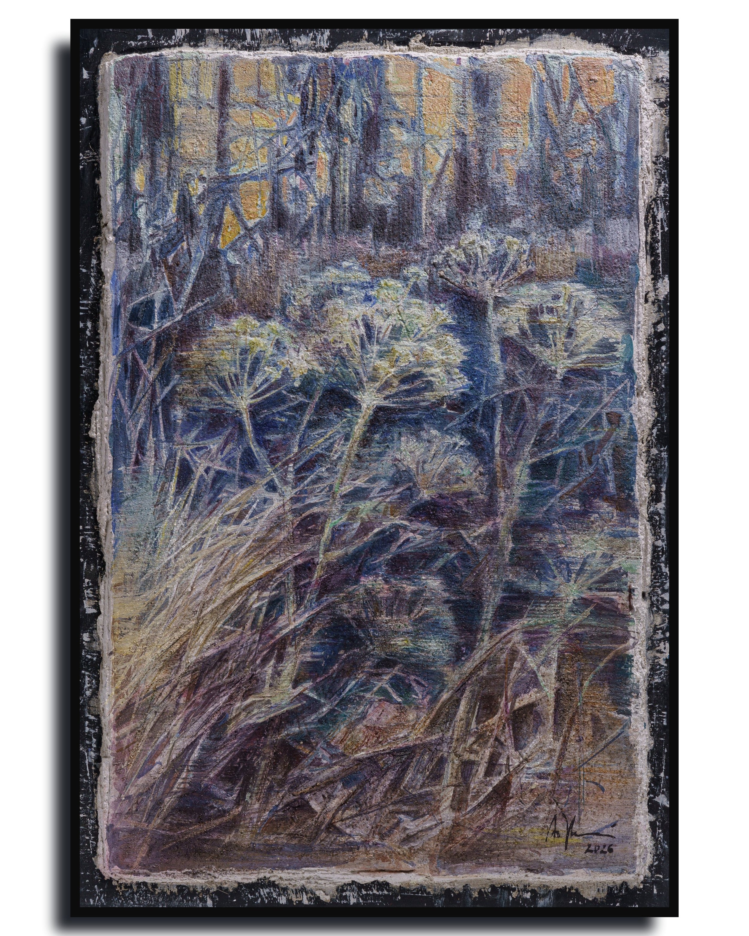 Wild Fennel – Fine Art Wall Print | Buon Fresco Photography | Limited