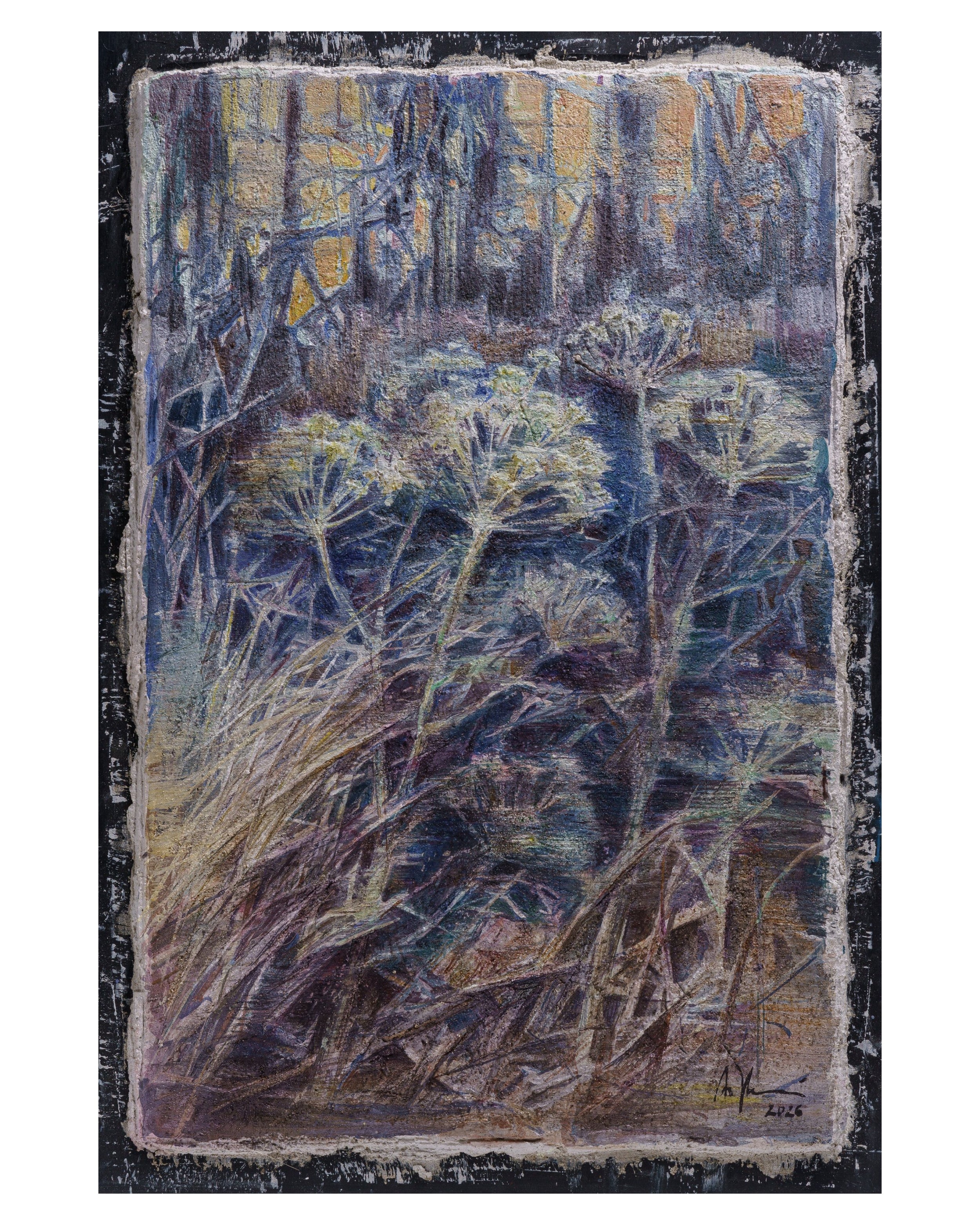 Wild Fennel – Fine Art Wall Print | Buon Fresco Photography | Limited