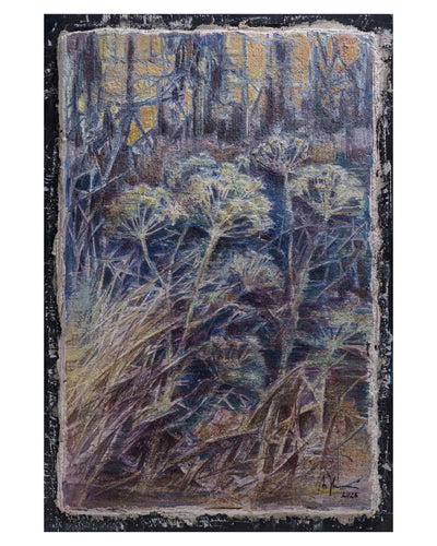 Wild Fennel – Fine Art Wall Print | Buon Fresco Photography | Limited