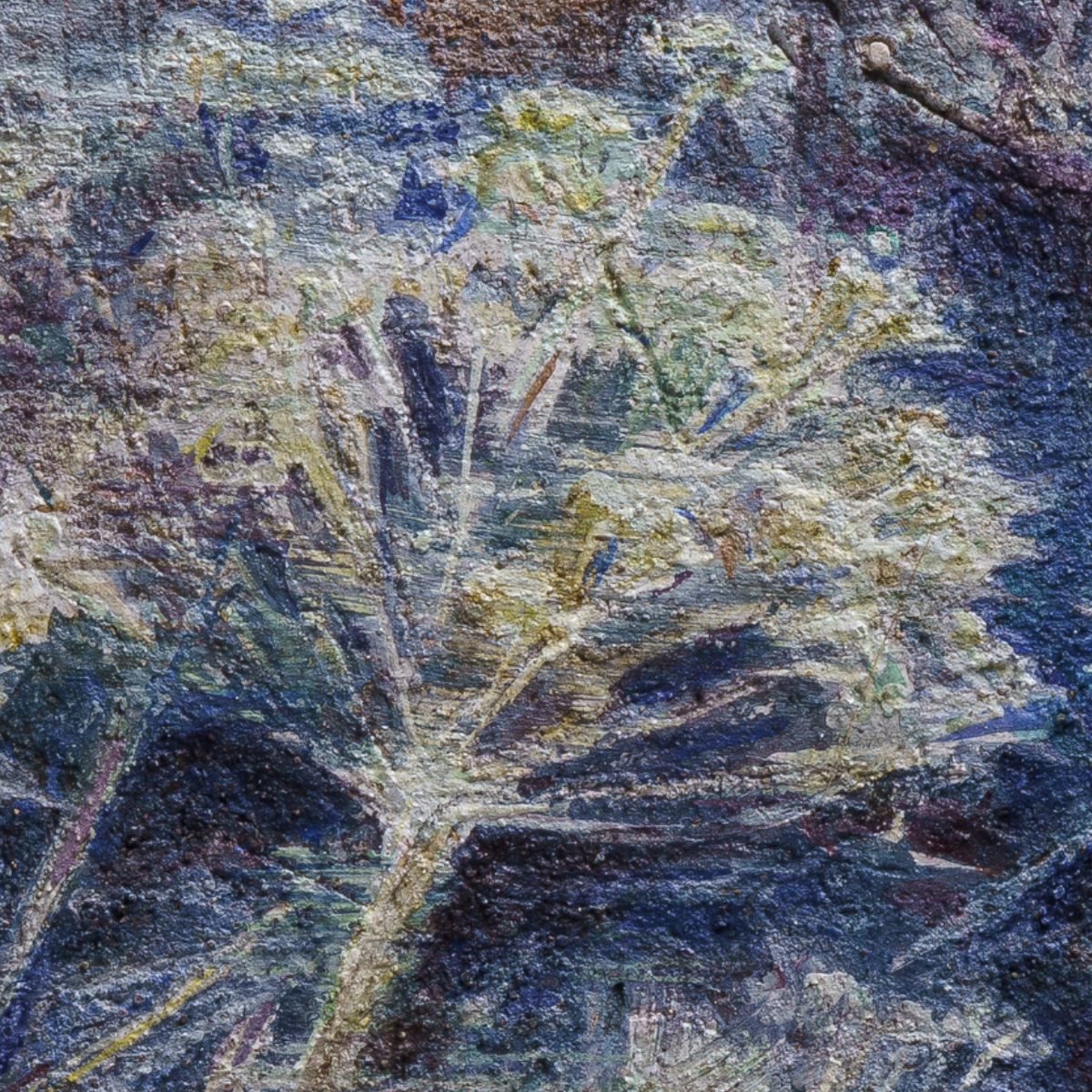 Wild Fennel – Fine Art Wall Print | Buon Fresco Photography | Limited