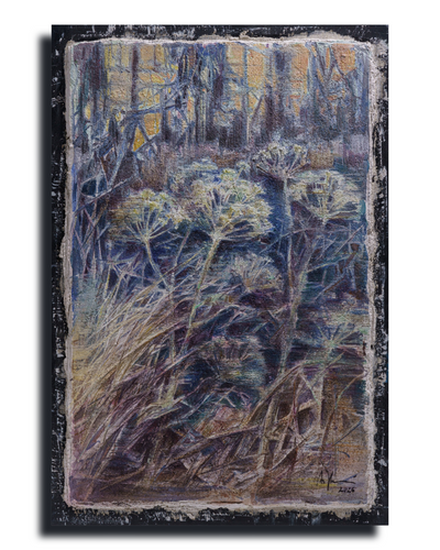 Wild Fennel – Fine Art Wall Print | Buon Fresco Photography | Limited