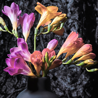 Bouquet of pink and orange flowers in a dark vase against a textured black background  ~ Fine Art Photograpphy by Ivo Titzin ~ Luxury Wall Art by Gito