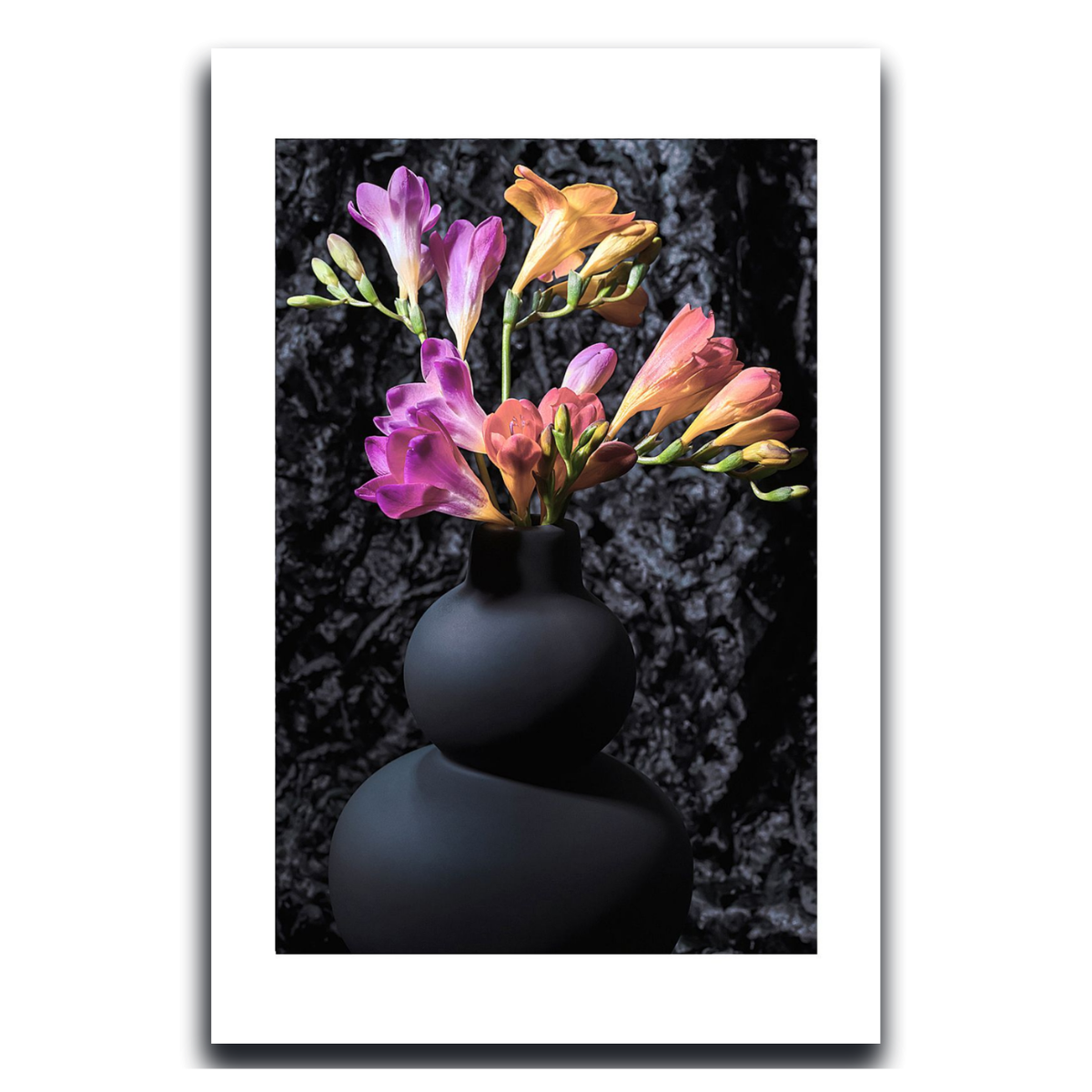 Black vase with colorful flowers on a dark background ~ Freesias ~ Fine Art Photograpphy by Ivo Titzin ~ Luxury Wall Art by Gito