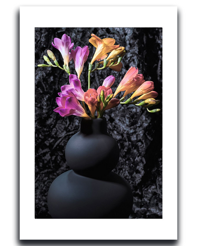 Freesias ~ Fine Art Photograpphy by Ivo Titzin ~ Luxury Wall Art by Gito