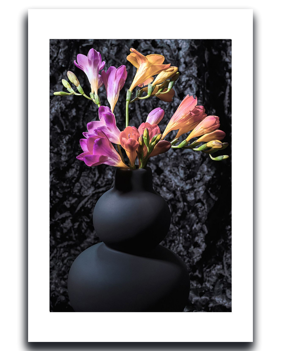 Freesias ~ Fine Art Photograpphy by Ivo Titzin ~ Luxury Wall Art by Gito