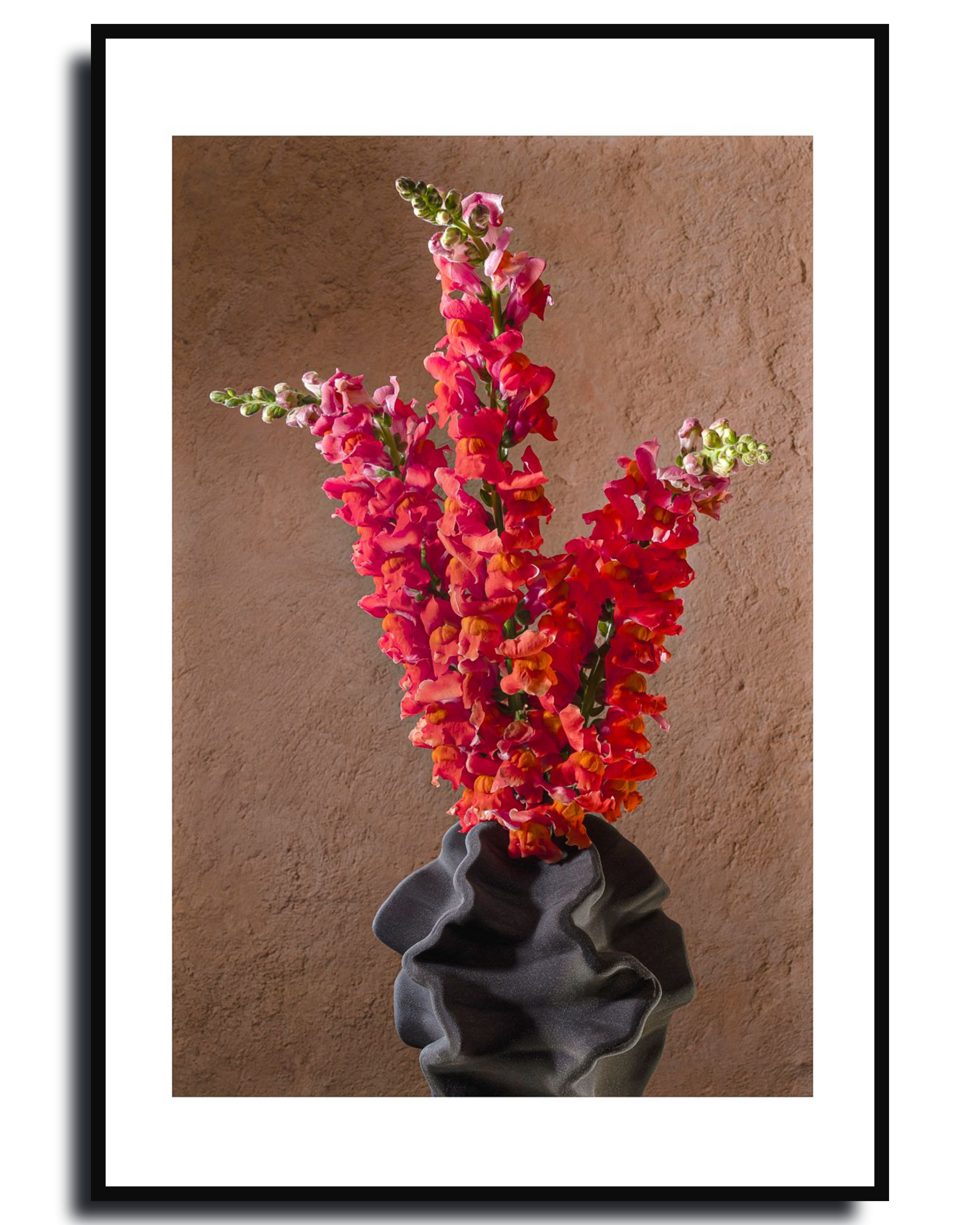 Snapdragons – Fine Art Photography | Wall Art | Limited Edition