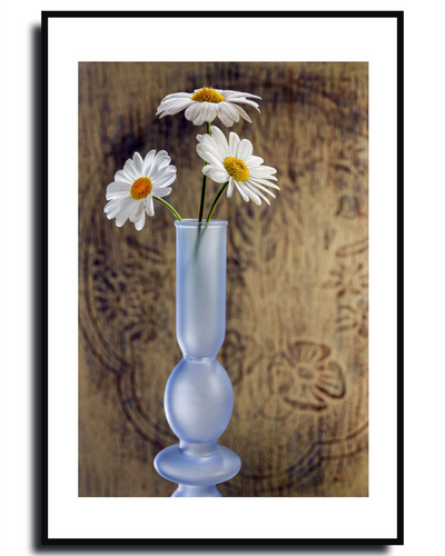 Daisy – Fine Art Photography by Ivo Tizin | Wall Art | Gito Art and Decor Limited Edition