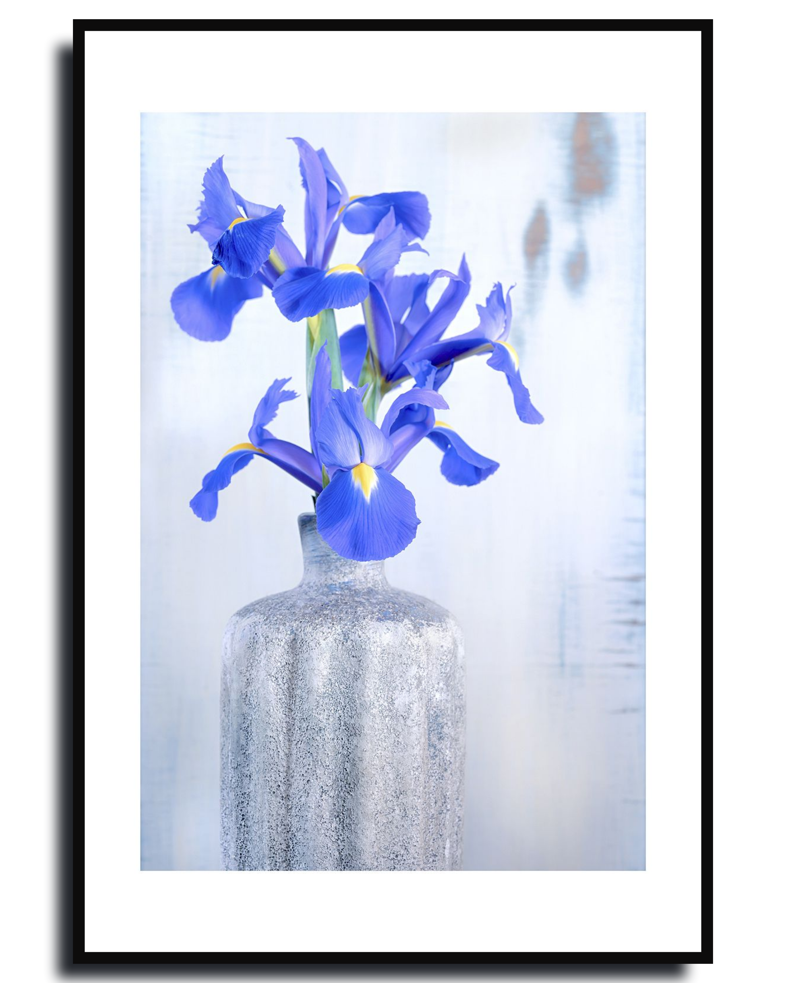 Iris – Fine Art Photography by Ivo Tizin - Gentel Flower Wall Art - Gito Art Limited Edition