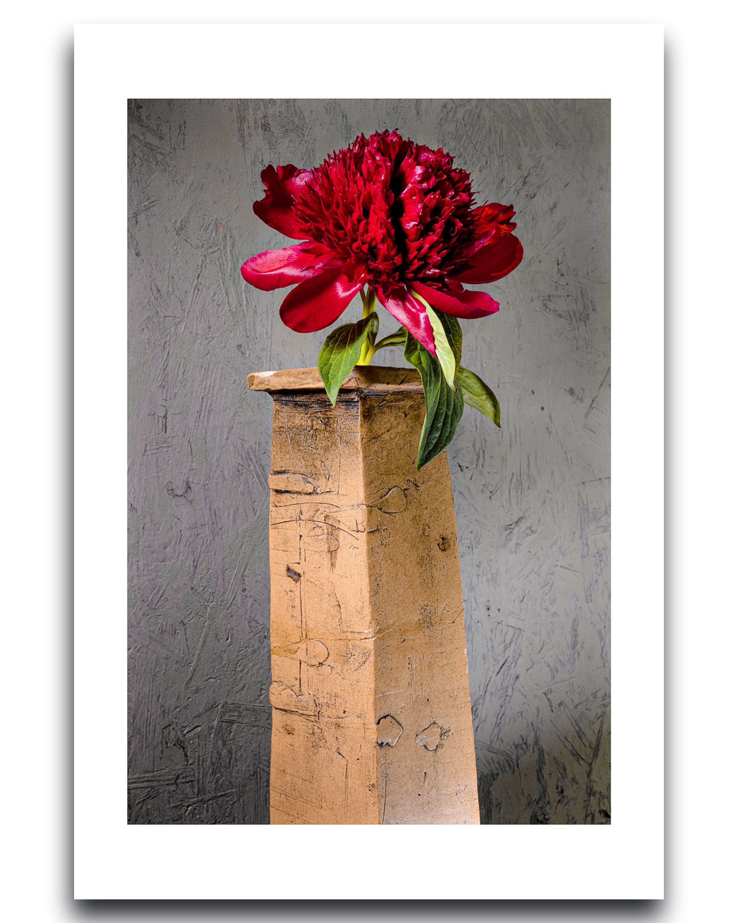 Red Peony – Fine Art Botanical  Photography | Wall Art | Limited Edition