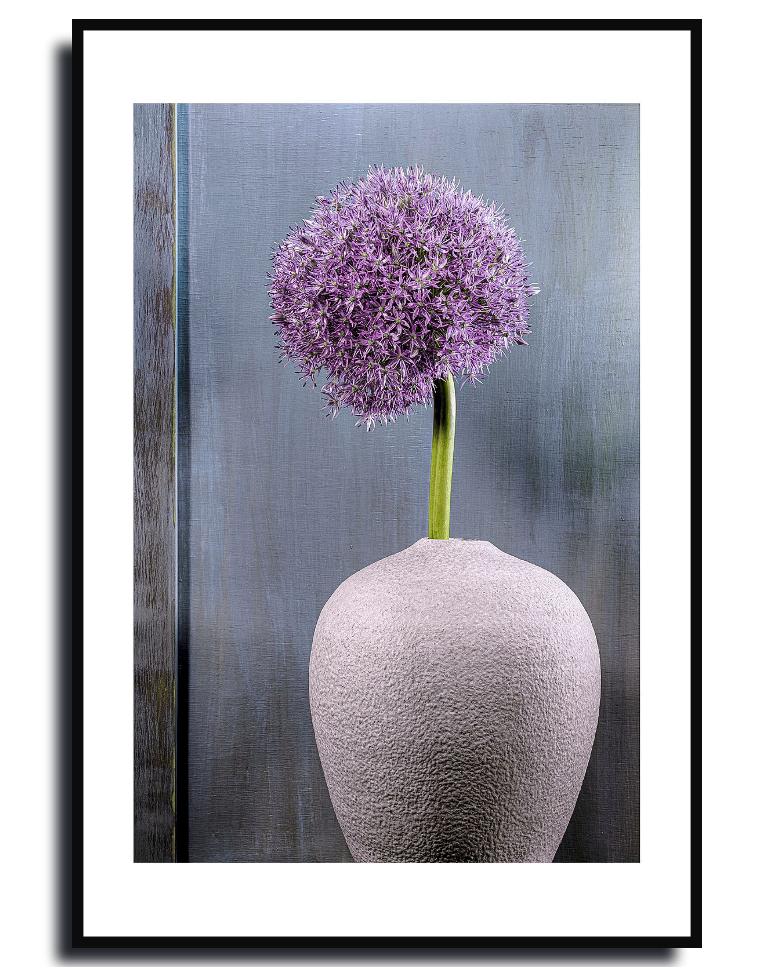 Ornamental Allium – Fine Art Photography by Ivo Tizin - Wall Art - Limited Edition High Quality Print - Black Frame