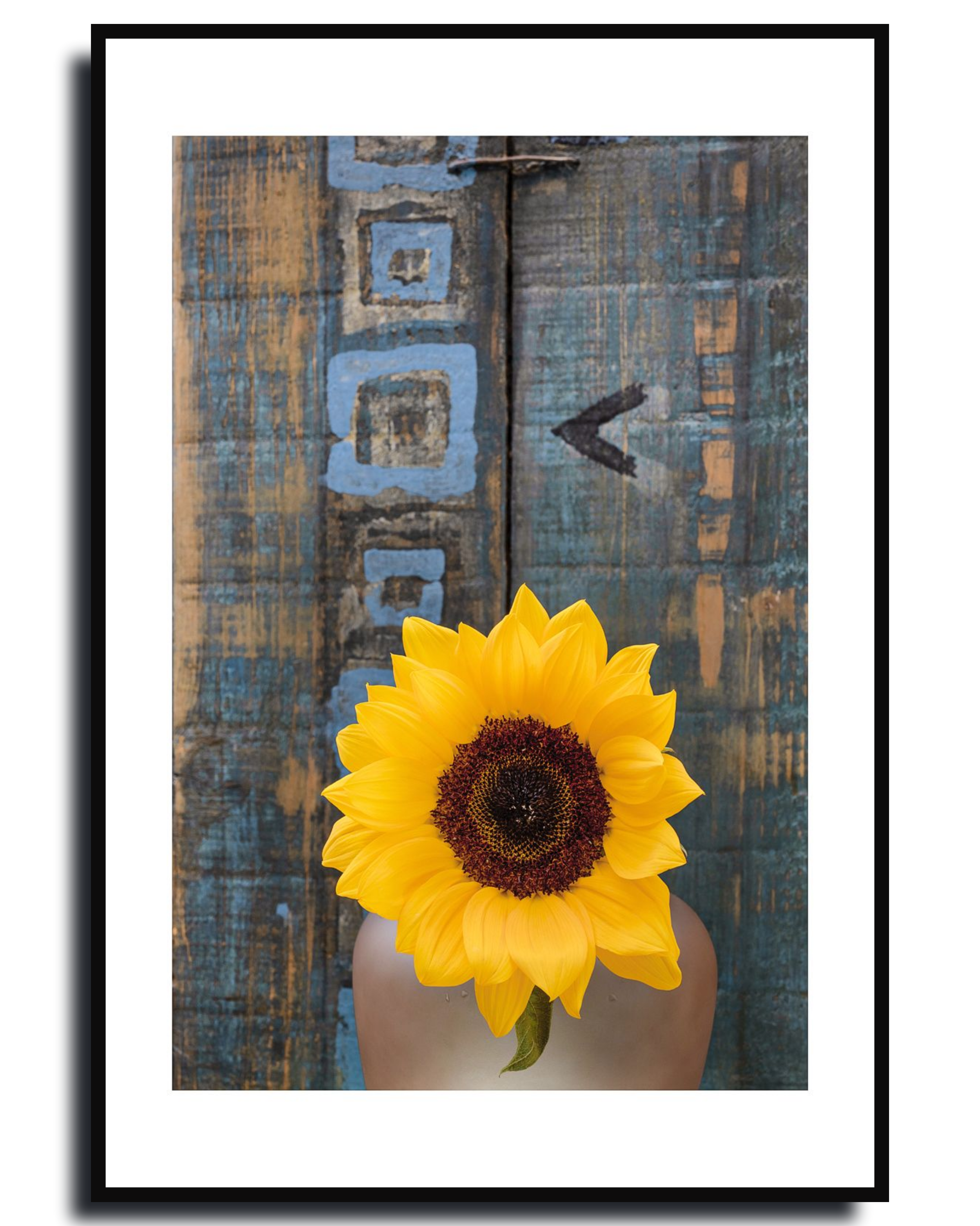 Sunflower - Fine Art Photography by Ivo Tizin - Wall Art - contemporary, minimalistic style - Limited Edition