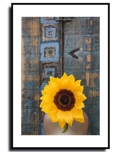 Sunflower - Fine Art Photography by Ivo Tizin - Wall Art - contemporary, minimalistic style - Limited Edition