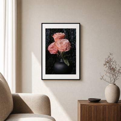 Framed artwork of pink roses on a wall in a living room. ~ Hybrid Tea Rose ~ Fine Art Photography by Ivo Titzin ~ Limited edittion Luxury Wall Art by Gito 