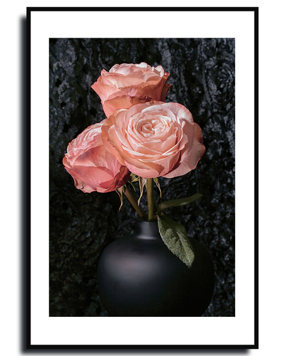  Hybrid Tea Rose ~ Fine Art Photography by Ivo Titzin ~ Limited edittion Luxury Wall Art by Gito 