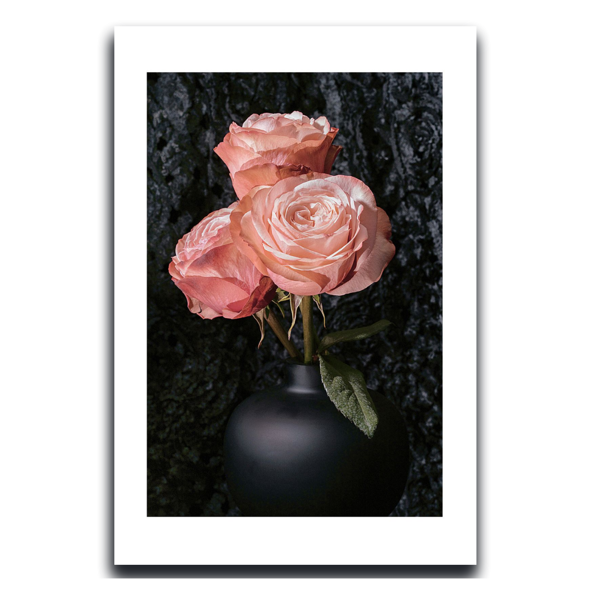Hybrid Tea Rose ~ Fine Art Photography by Ivo Titzin ~ Limited edittion Luxury Wall Art by Gito 