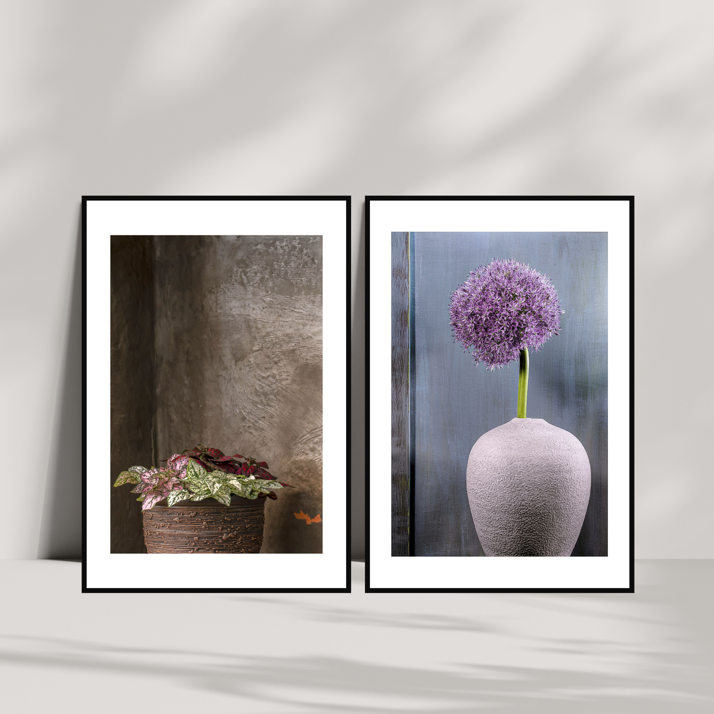 Hypoestes – Fine Art Photography - Wall Art - Limited Edition - Botanical Minimalist Decor