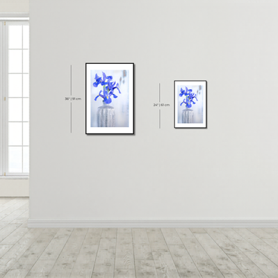 Iris – Fine Art Photography by Ivo Tizin - Gentel Flower Wall Art - Gito Art Limited Edition