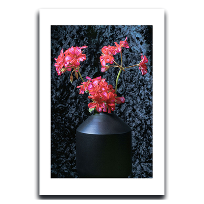 Black vase with pink flowers against a dark textured background ~ Ivy Geranium ~ Fine Art Photography by Ivo Titzin ~ Black Series ~ Limited edittion Wall Art by Gito