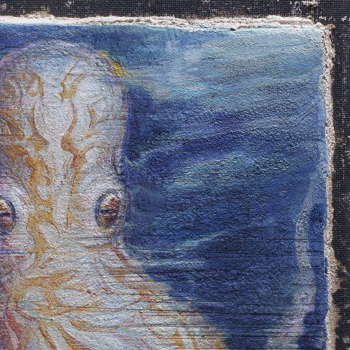 Octopus – Fine Art Wall Print | Buon Fresco Photography | Limited edition ~ artwork by Aleksander Yuzev