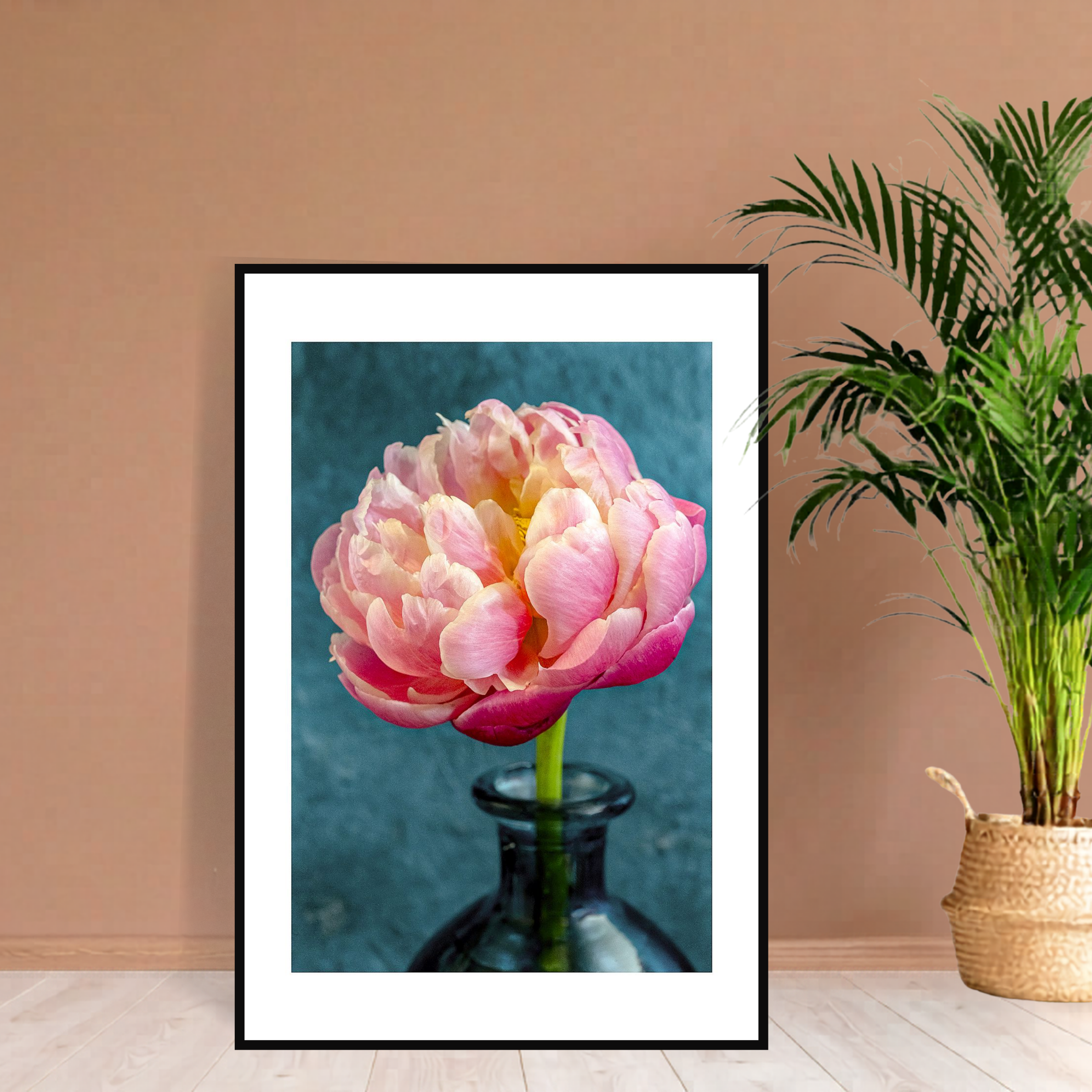 Big Rose Peony – Fine Art Photography | Wall Art | Limited Edition