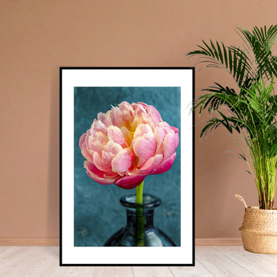 Big Rose Peony – Fine Art Photography | Wall Art | Limited Edition