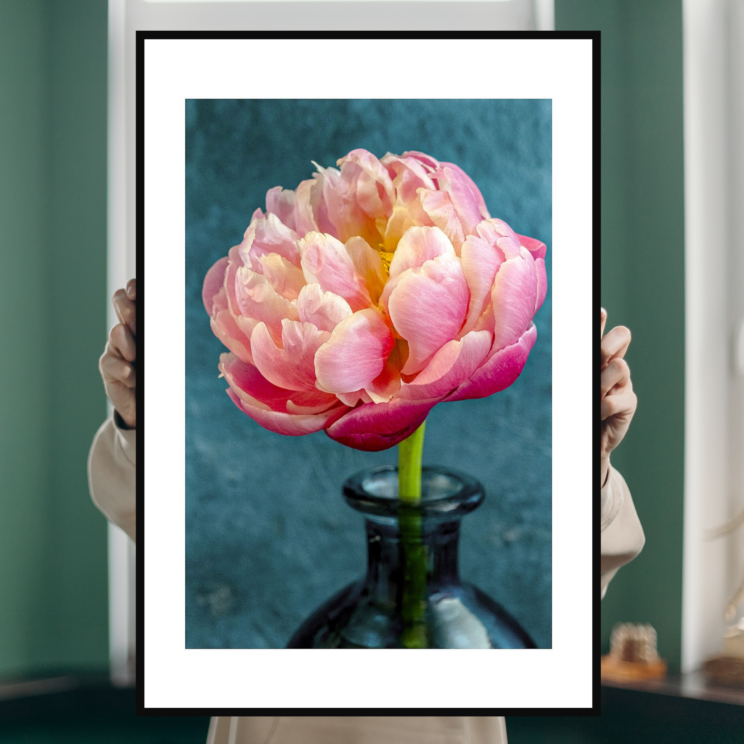 Big Rose Peony – Fine Art Photography | Wall Art | Limited Edition