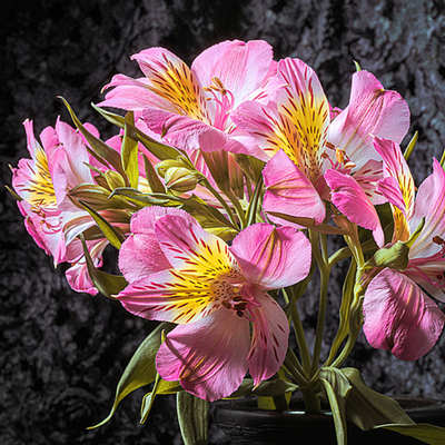Bouquet of pink and yellow flowers with green leaves on a dark textured background ~ Fine Art Photography by Ivo Titzin ~ Collectable Wall Art by Gito ~ Limited Eedition
