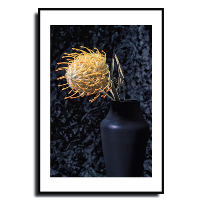 Framed artwork of a yellow flower in a black vase against a dark textured background ~ Pincushion Protea ~ Fine Art Photography by Ivo Titzin ~ Luxury Wall Art by Gito ~ Limited edition