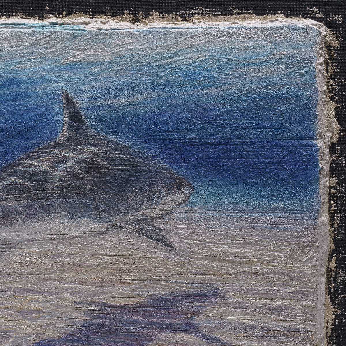 Shark – Fine Art Wall Print | Buon Fresco Photography | Limited 500/500
