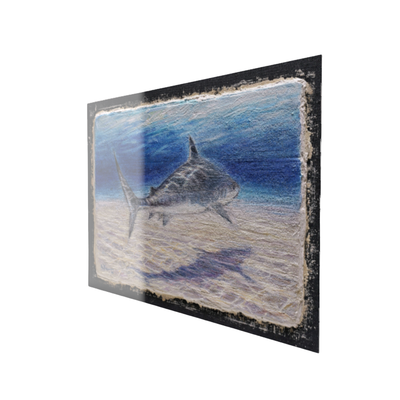 Shark – Fine Art Wall Print | Buon Fresco Photography | Limited 500/500